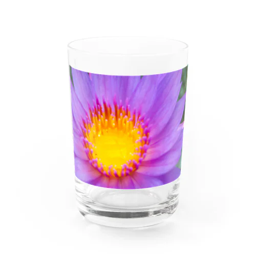 Flower drop 睡蓮 Water Glass