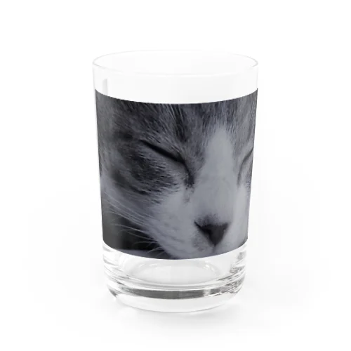 お眠り猫2 Water Glass