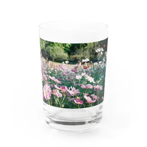 草 花 乳 Water Glass