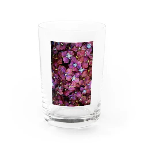 紫陽花　あじさい Water Glass