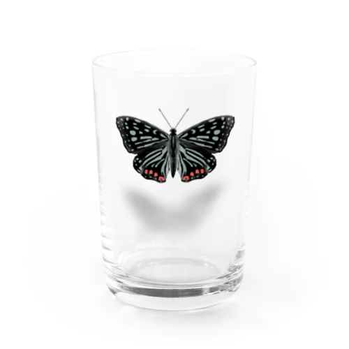 アカボシゴマダラ Water Glass