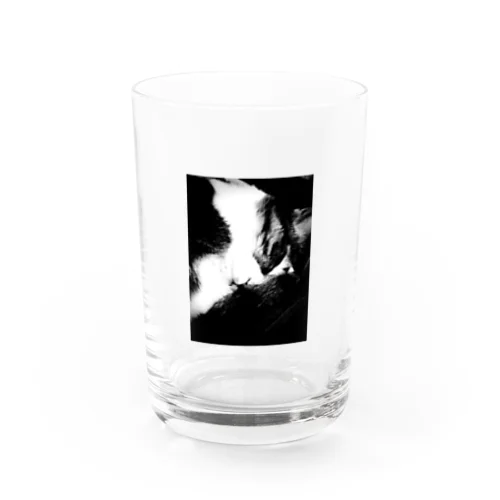 sleeping cat glass Water Glass