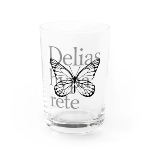 Delias hyparete Water Glass