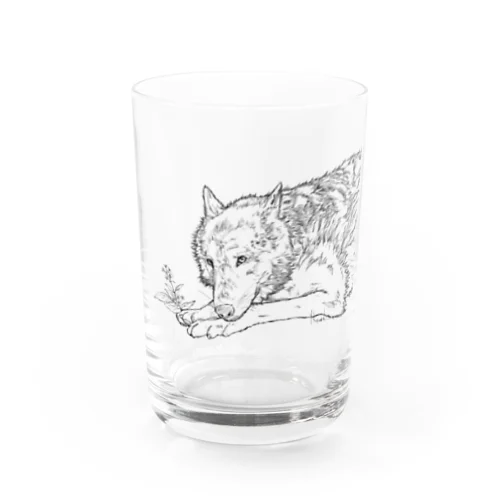 オオカミ グラス