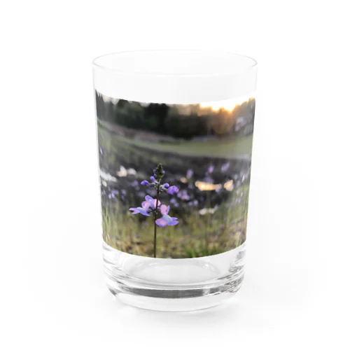 お花 Water Glass