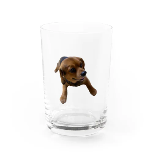 りりたん Water Glass