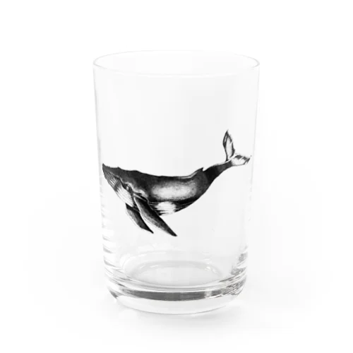 点描クジラ🐋 Water Glass