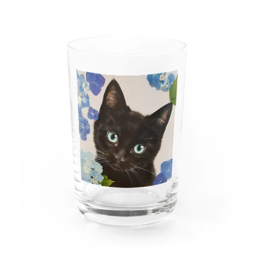 紫陽花とくろねこ Water Glass