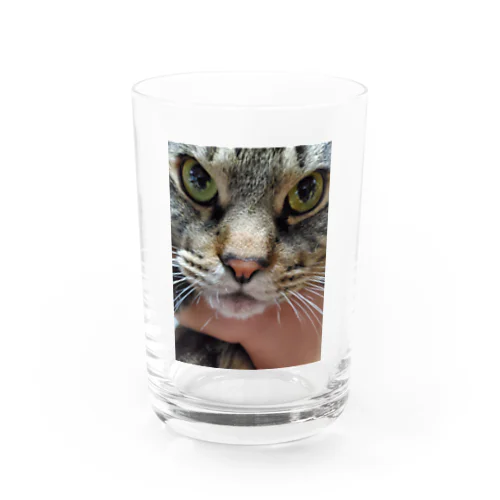 だんごグッツ Water Glass