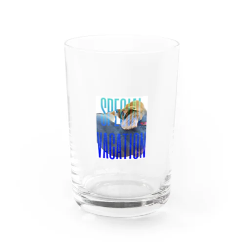SPECIAL VACATION Water Glass