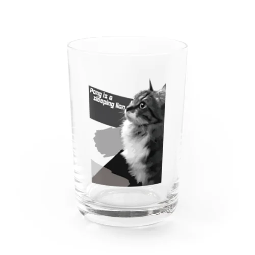 シックなぽんちゃん Water Glass