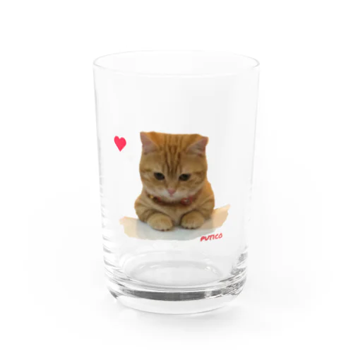 見守りぷてぃこ Water Glass