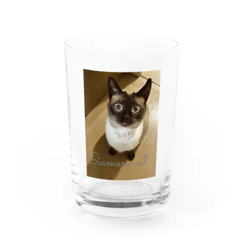 Siamese cat シャム猫 Water Glass