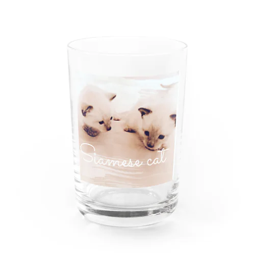 Siamese cat シャム猫 Water Glass