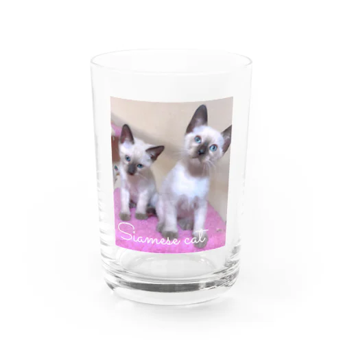 Siamese cat シャム猫 Water Glass