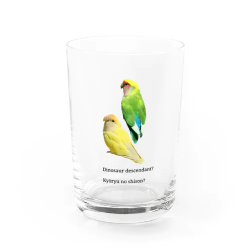 恐竜の子孫？　コザクラインコ Water Glass