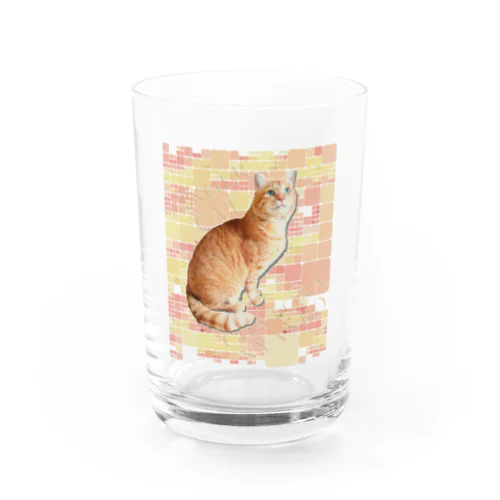 茶トラにゃんこ Gingercat 文字入り Water Glass