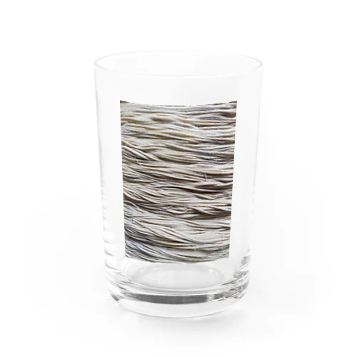 美しき蕎麦 Water Glass