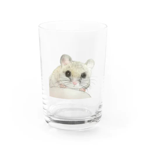 ひょこっとうにちゃん Water Glass