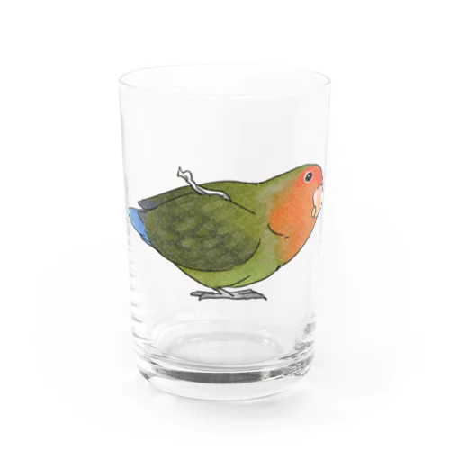 おすましコザクラインコ　きなこちゃん【まめるりはことり】 Water Glass