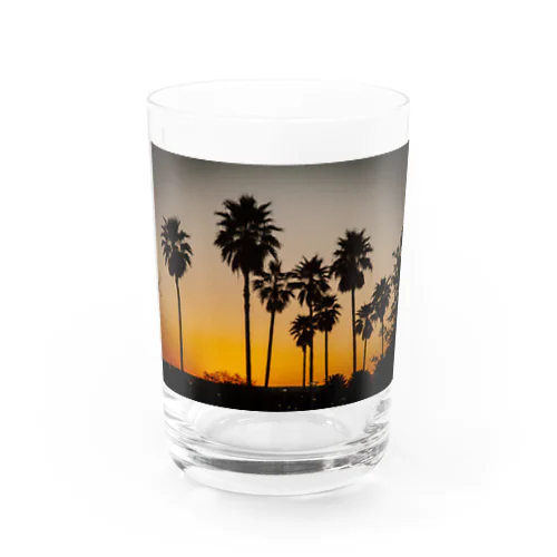 OLD-008-02 Water Glass