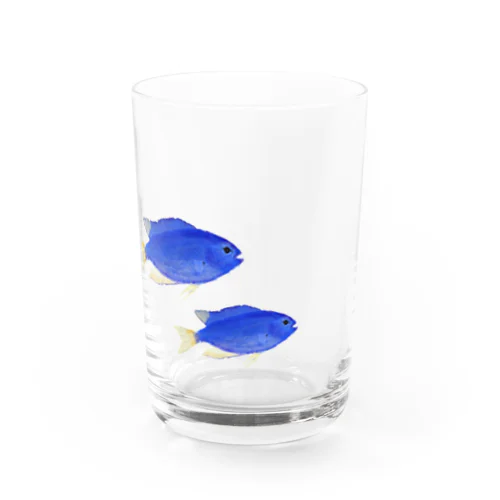 青い魚のソラスズメダイ Water Glass