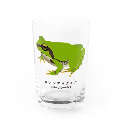 ニホンアマガエル Water Glass