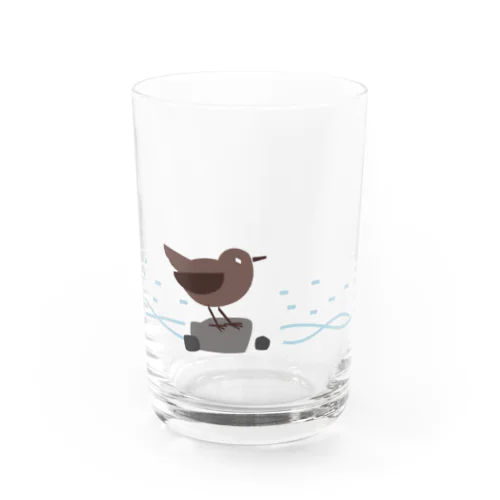 カワガラス Water Glass