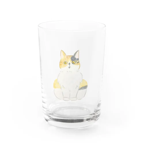 ビックリ顔の三毛猫つぼみ グラス