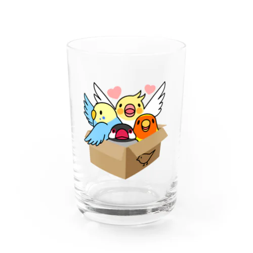 拾ってくださいインコ【まめるりはことり】 Water Glass