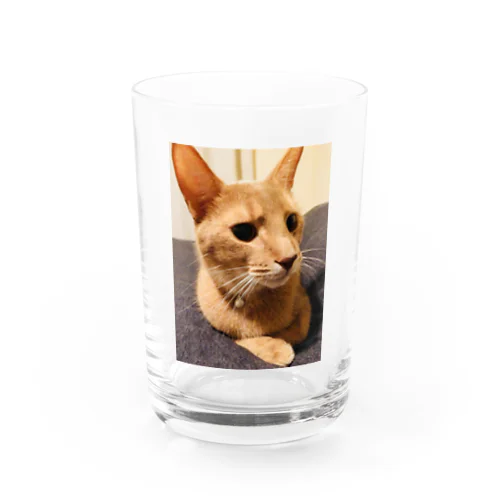 ごろぐらす Water Glass