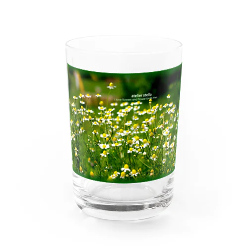 カモミール Water Glass
