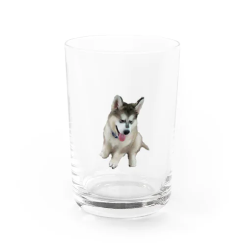 子犬時代　つばめしゃん Water Glass