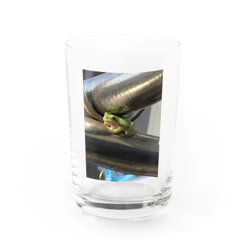 2020夏アマガエル帰る Water Glass