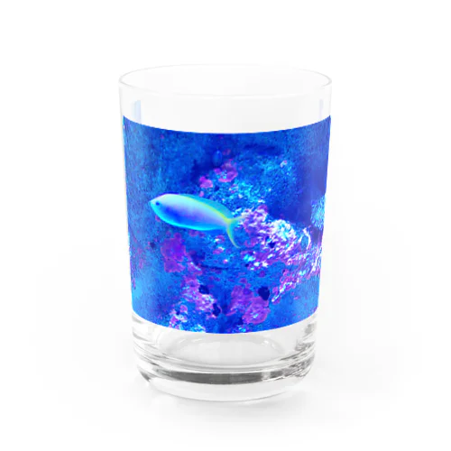 ウメイロモドキ Water Glass