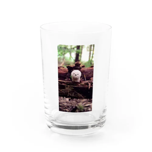 森の妖精 Water Glass