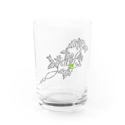 風船葛 Water Glass