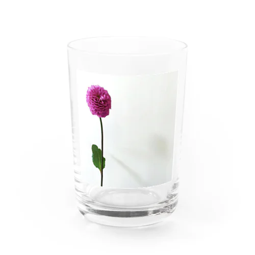 ダリア Water Glass
