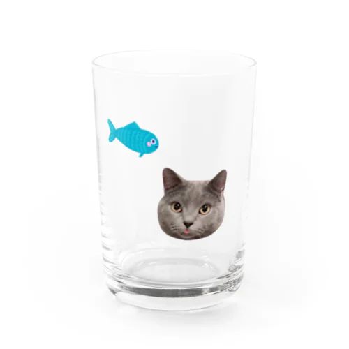 モフモフグレーねこ Water Glass