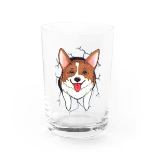 Corgi_hana_T01 Water Glass