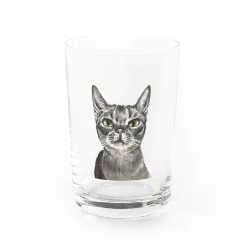 狙う猫 Water Glass