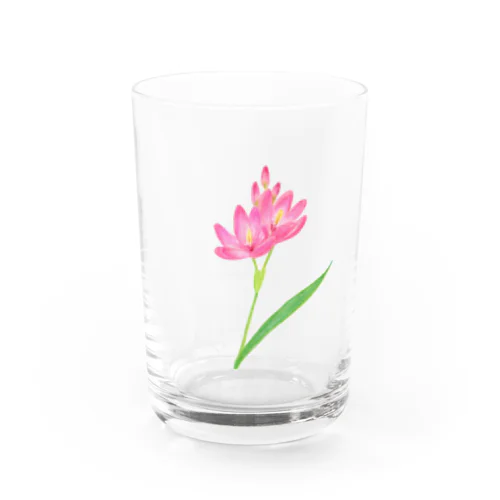 ピンクのお花 Water Glass