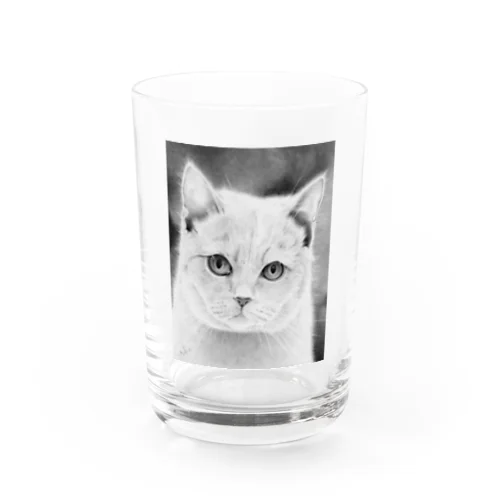 猫絵食器 Water Glass