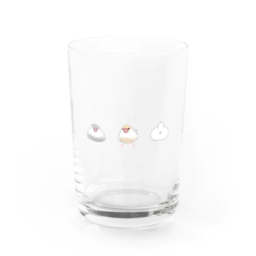 もちのちちり Water Glass