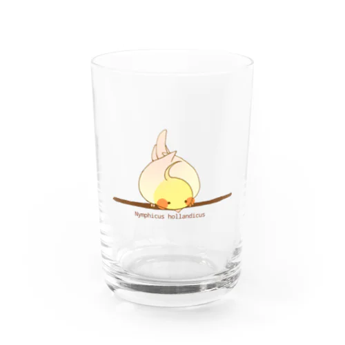 覗き込むオカメインコ Water Glass