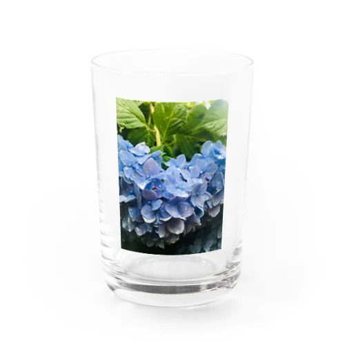 紫陽花　青 Water Glass