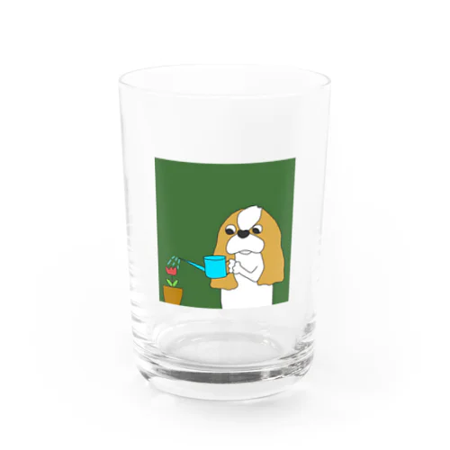 ウィンドウズ　ブレン Water Glass