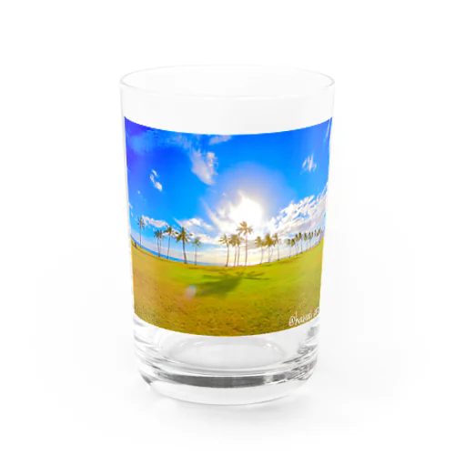 Hawaiiヤシの木 Water Glass