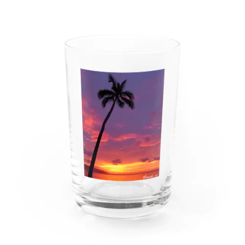 sunsetヤシの木 Water Glass