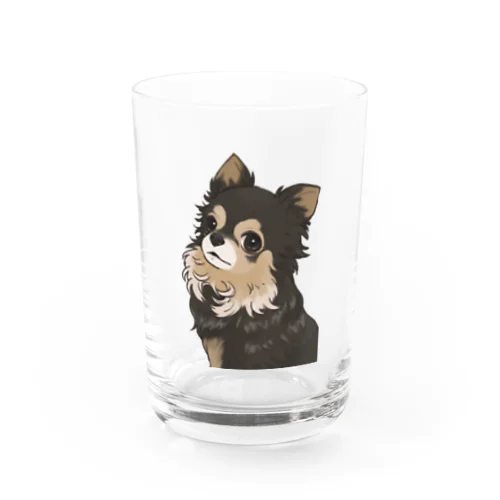 チワワのラヴさん Water Glass